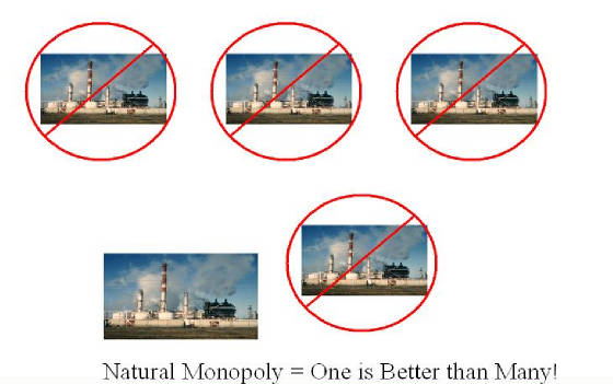 naturalmonopoly.jpg